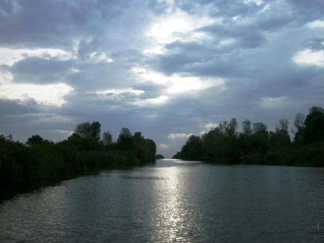 delta rosu 2012 - 556978.jpg